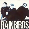 LP - Rainbirds